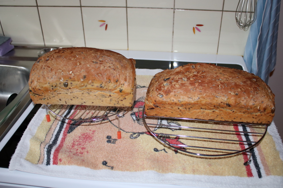 Dinkelbrot mit Leinsamen,Sesam und Kürbiskernen