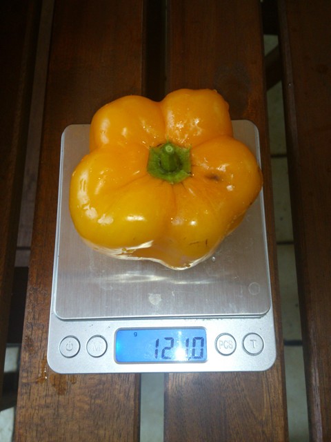 full