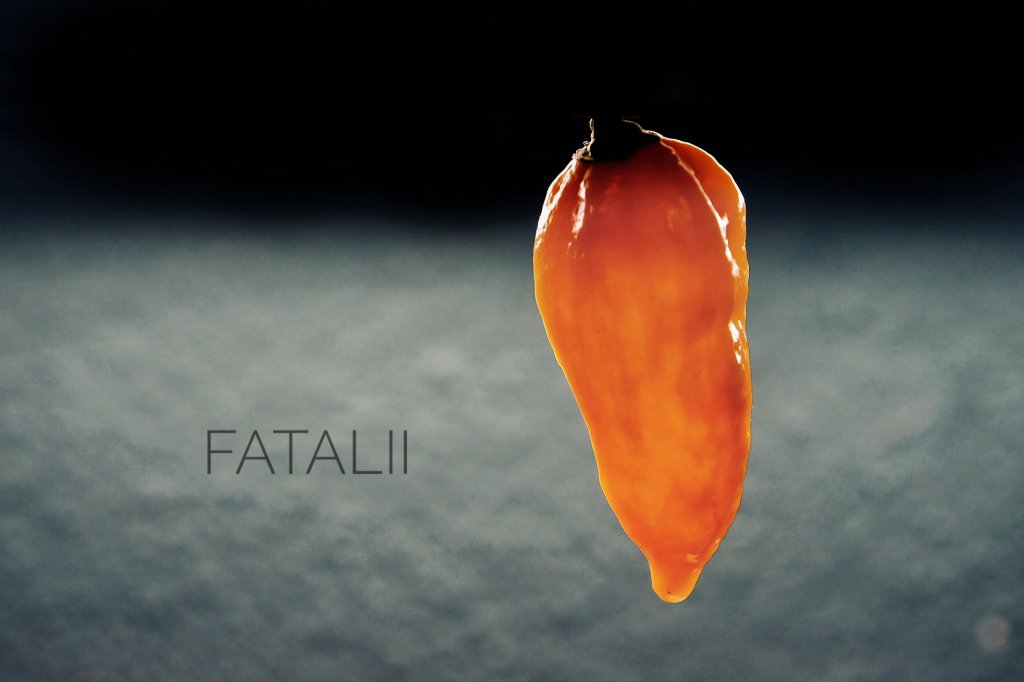 Fatalii