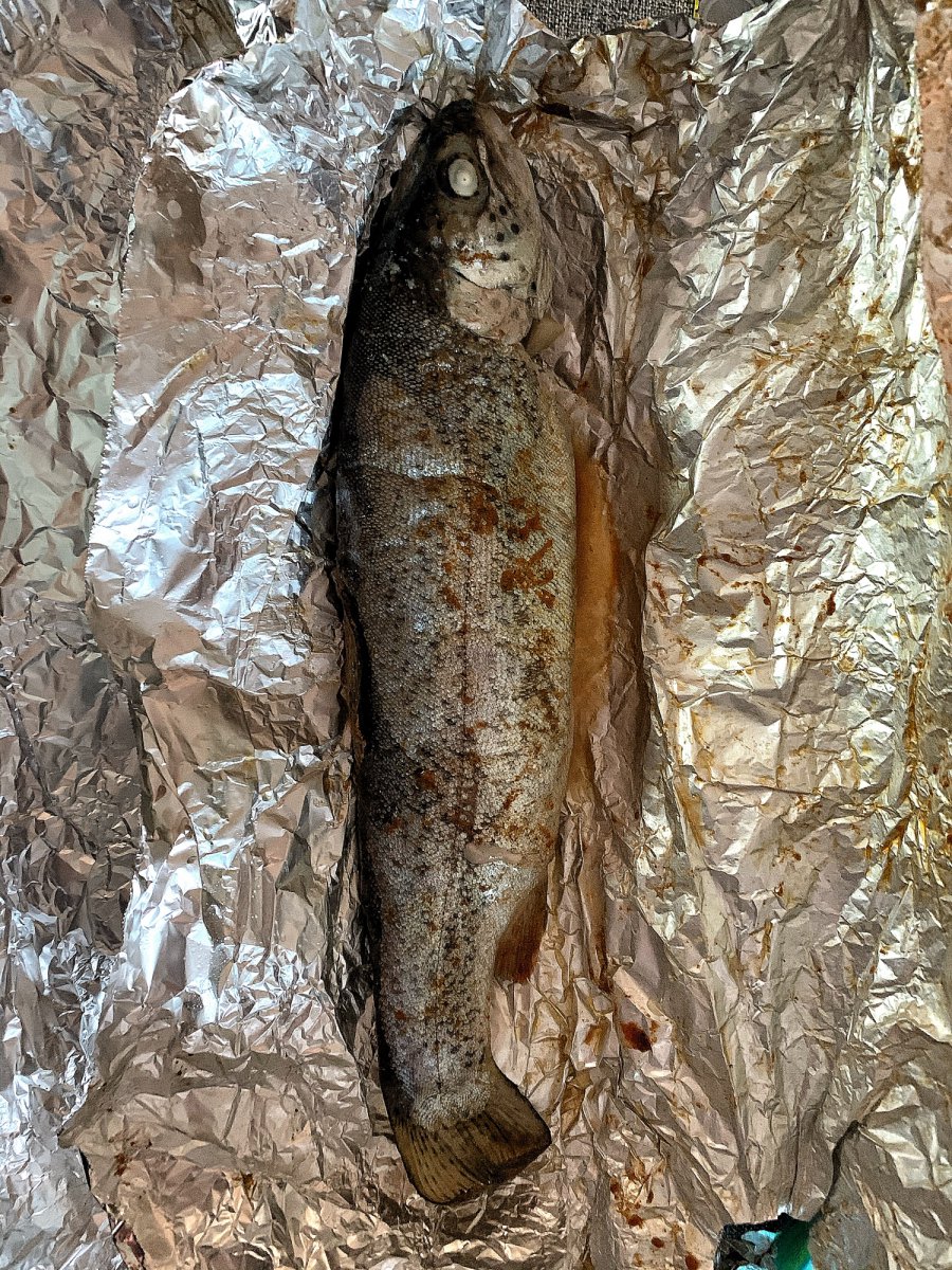 Grill-Forelle