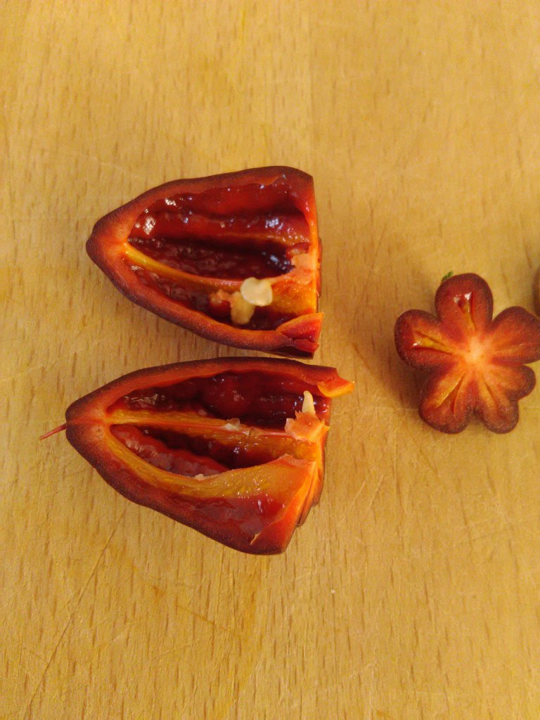 Habanero Chocolate Verkostung 2