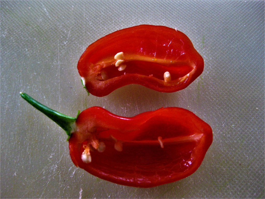 Habanero Mora