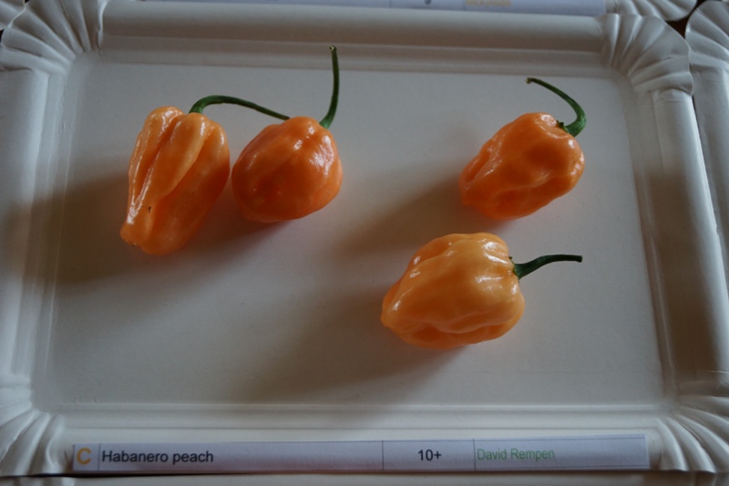 Habanero_Peach_10