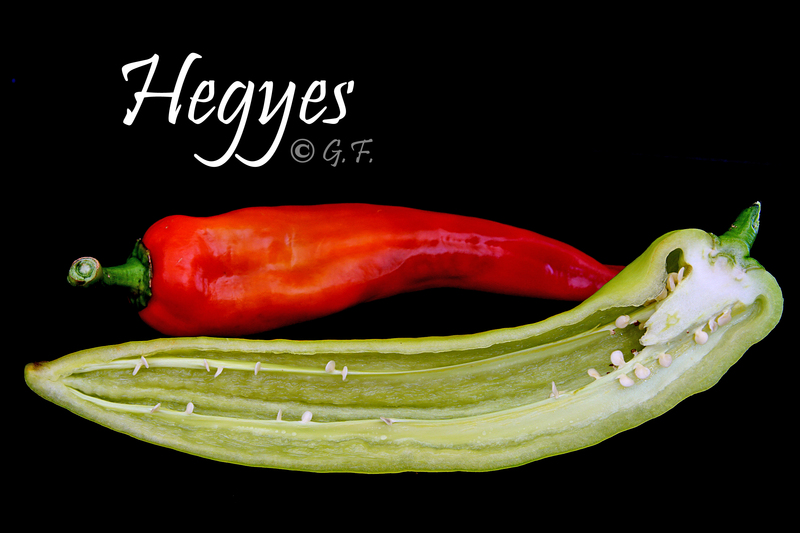 Hegyes