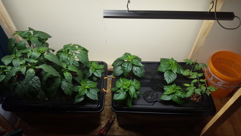 Hydroponic_system