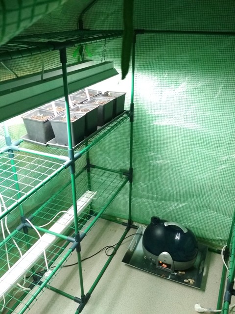 full