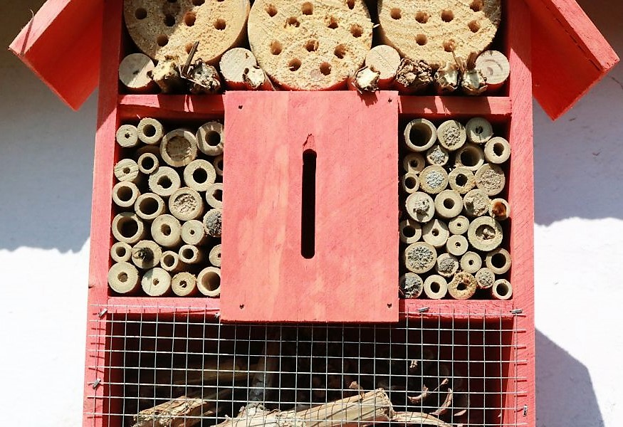 Insektenhotel 2019