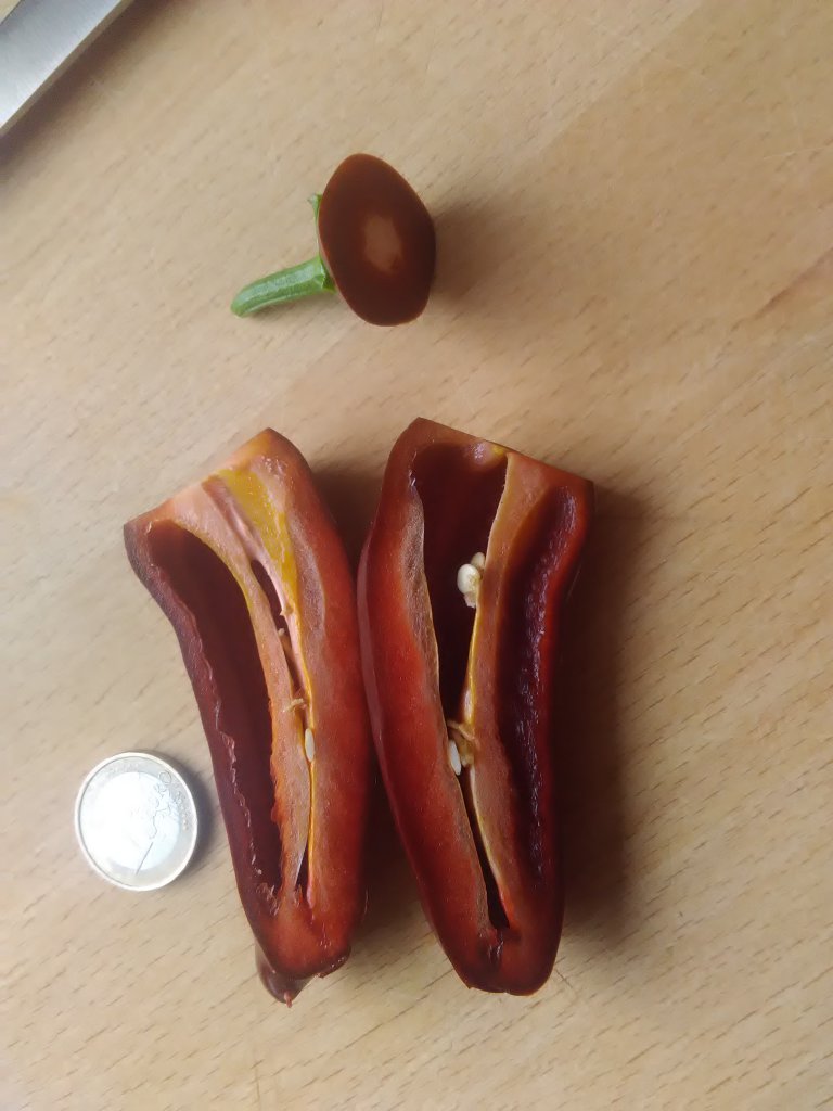 Jalapeno Brown Test 2