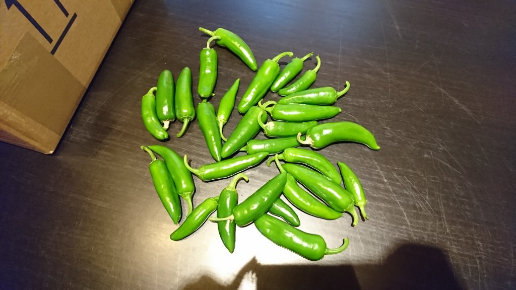 Jalapeno-ernte 1