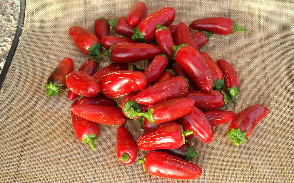 Jalapeños
