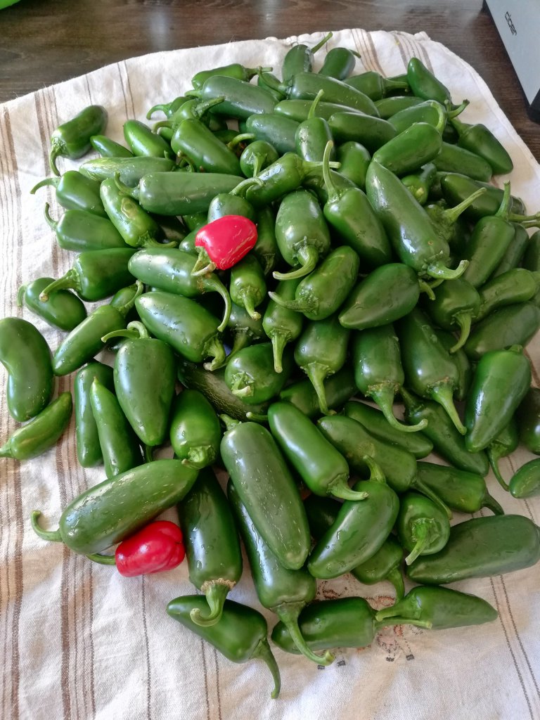 Jalapeños