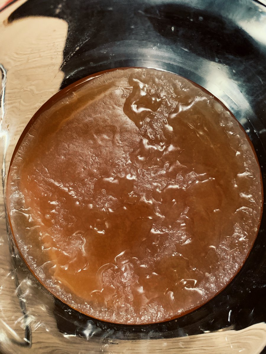 Kombucha 1, 10 Tage