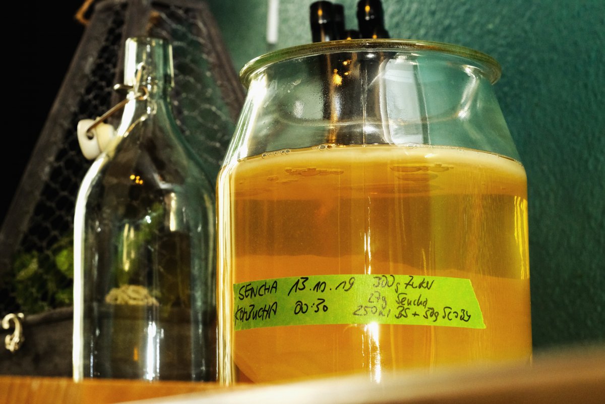 Kombucha 14d