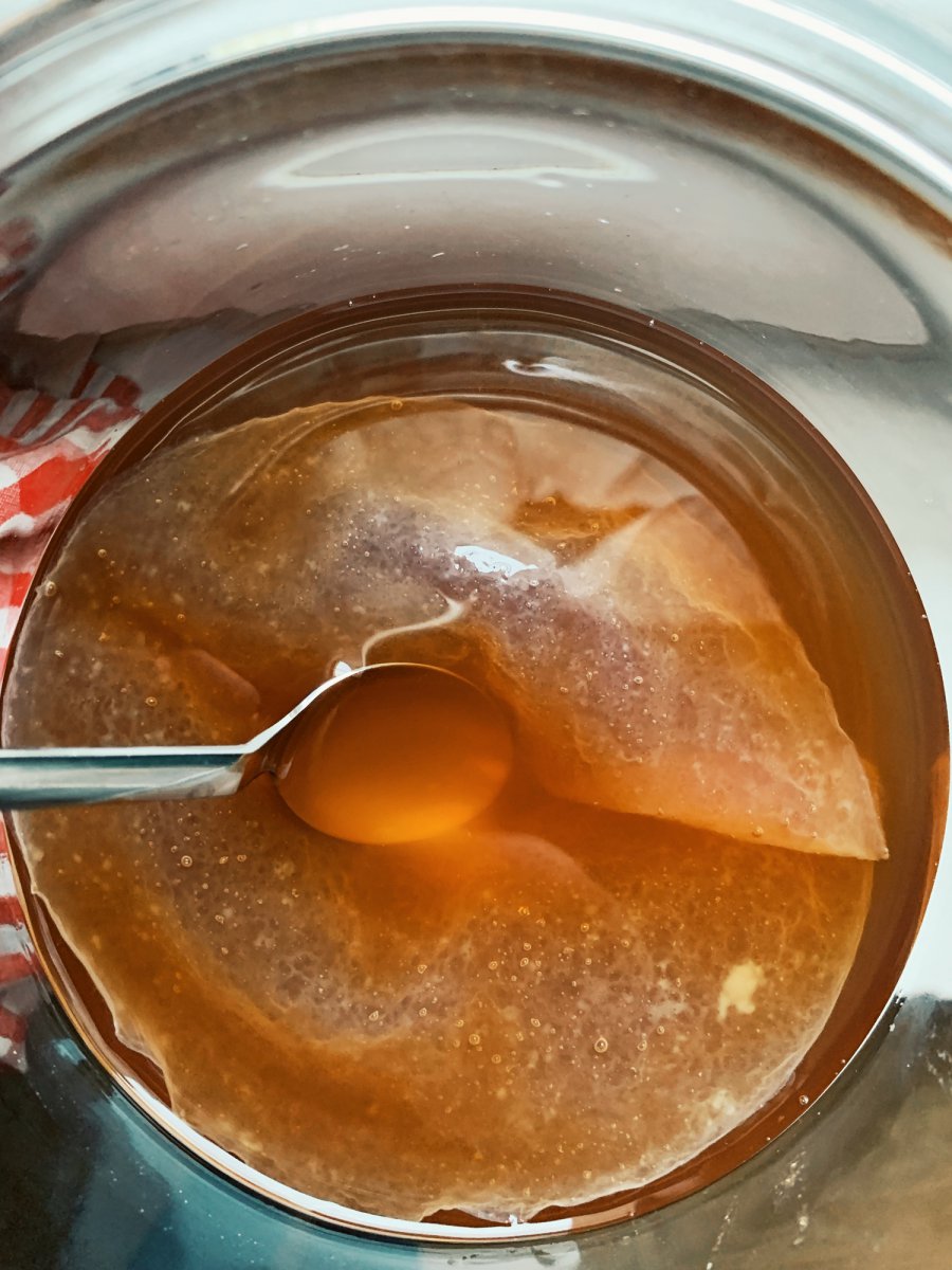 Kombucha — Tag 5