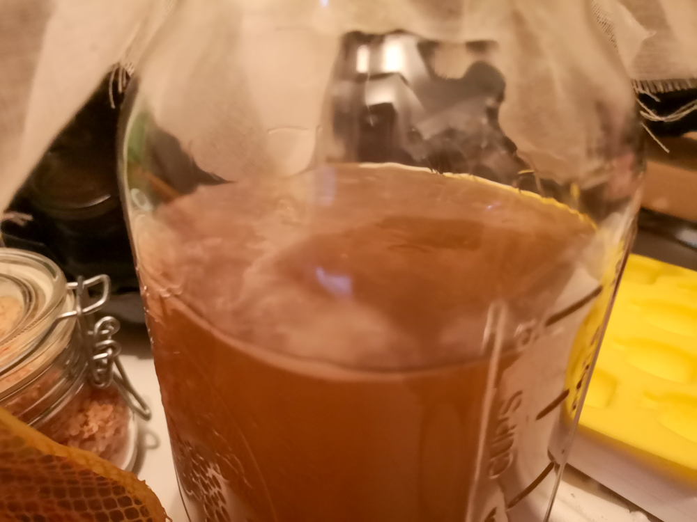 Kombucha