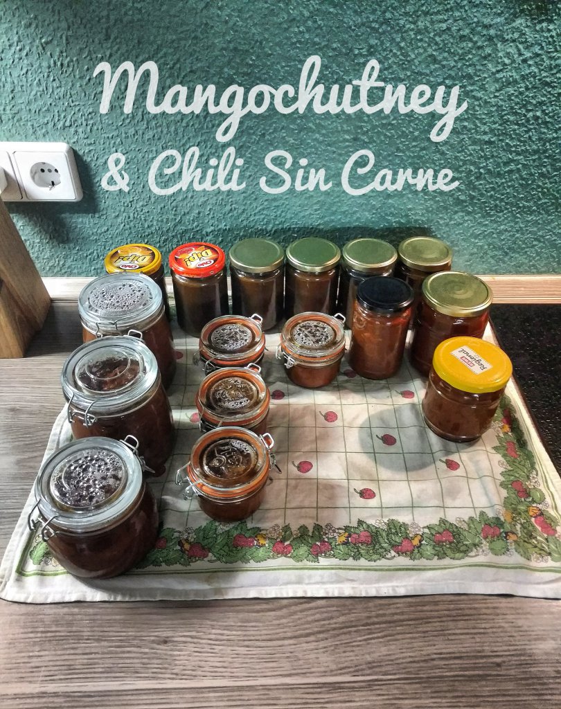 Mangochutney & Chili Sin Carne