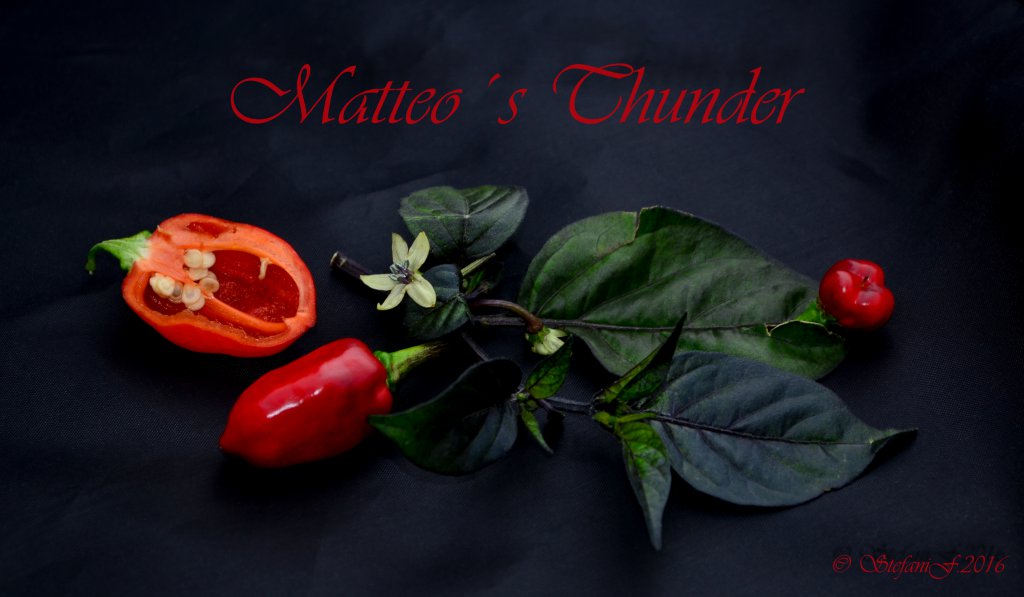 Matteo´s Thunder