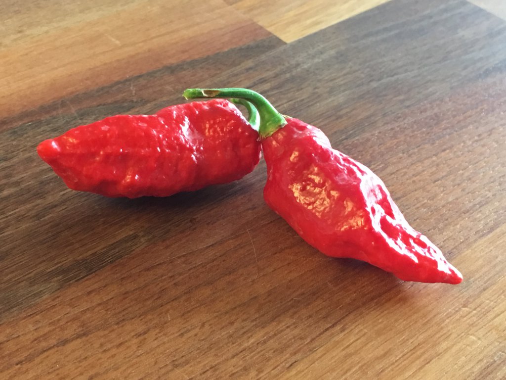 Naga Bhut Jolokia