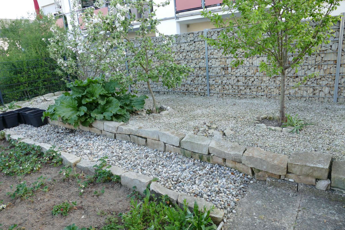P1000359.JPG