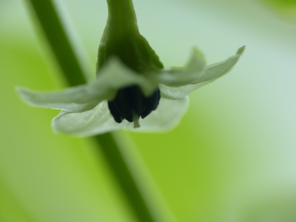 P1000788