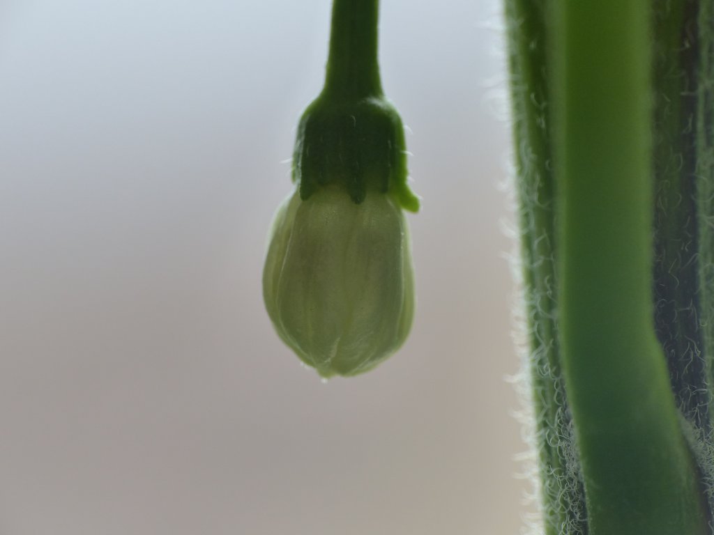 P1000789