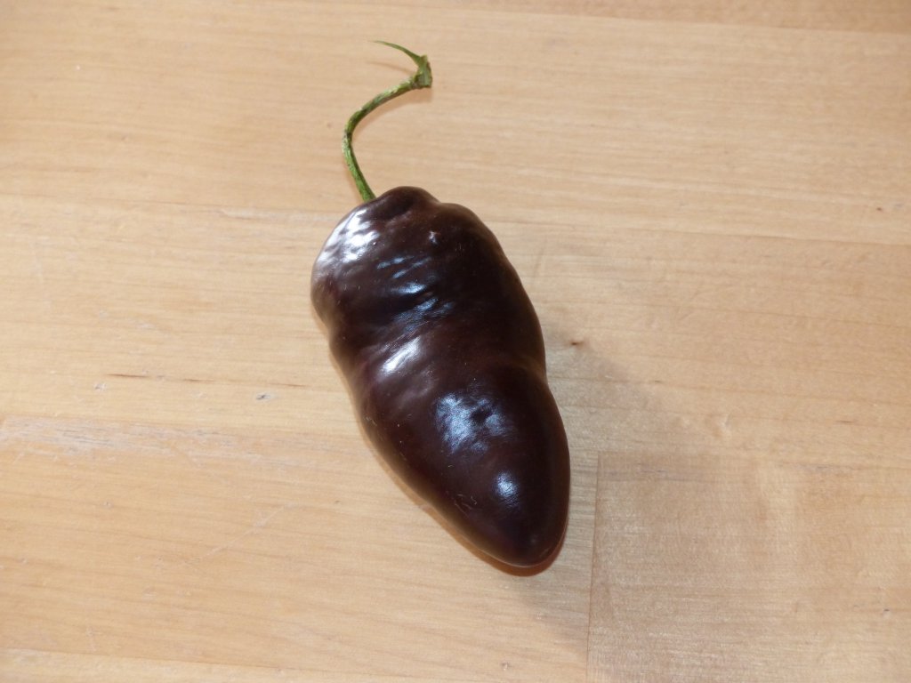 P1010095