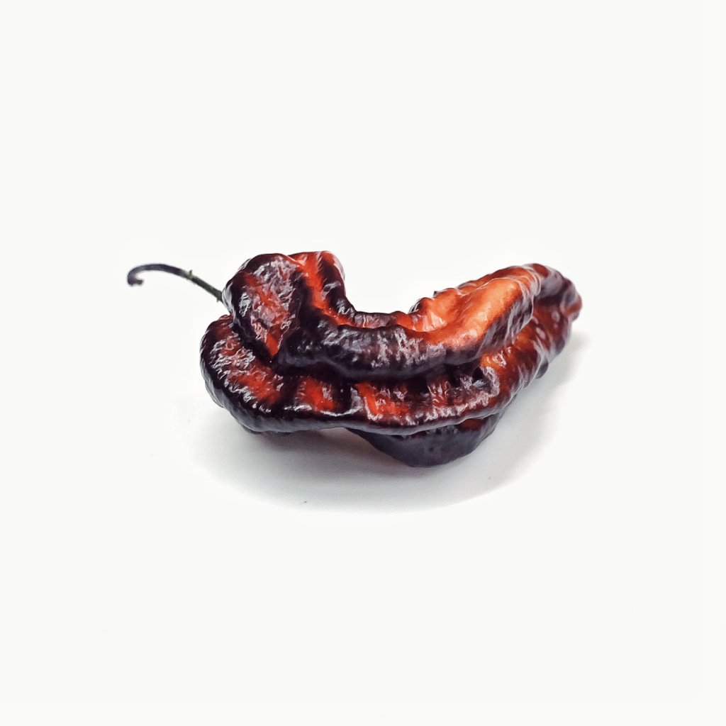 Pimenta Chris Fat Red