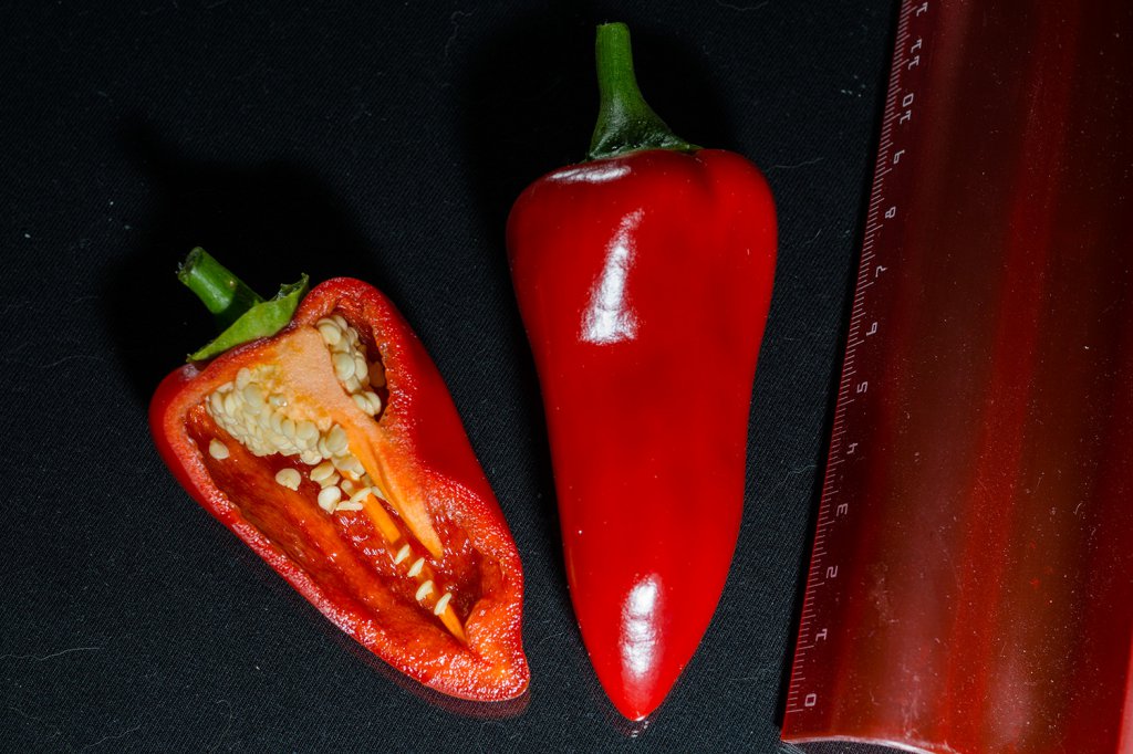 Pimiento_Piquillo_Frucht