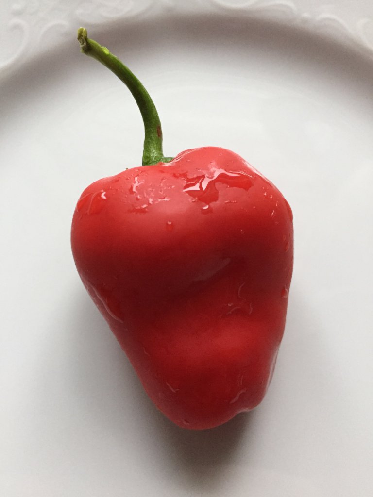 Red Pepper from Hell ganze Frucht