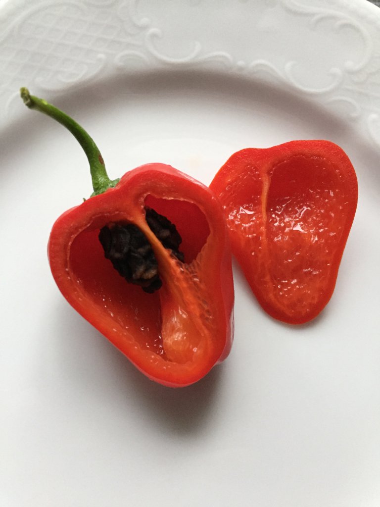 Red Pepper from Hell Innenleben