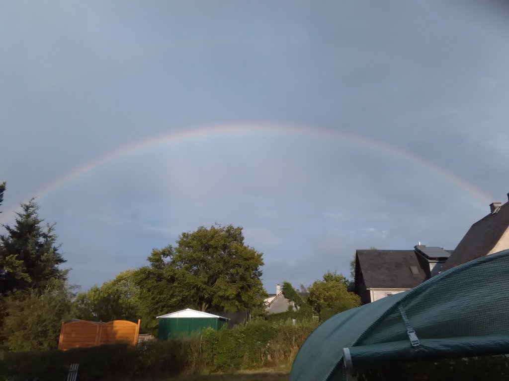 Regenbogen