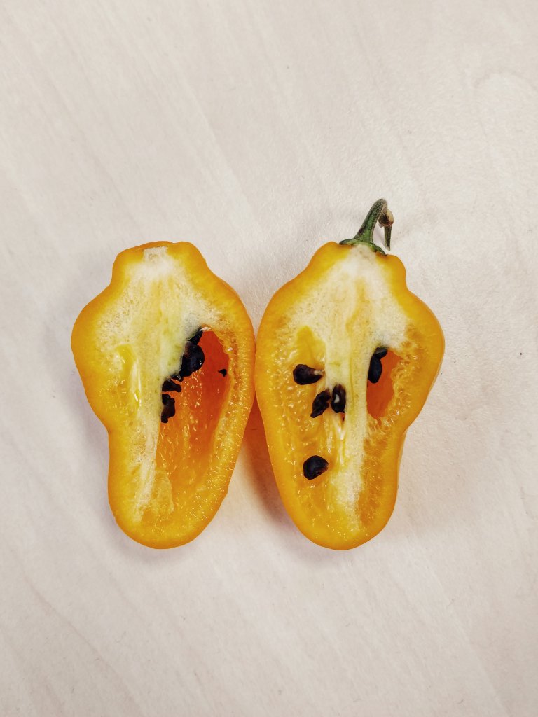 Rocoto Rio Huallaga