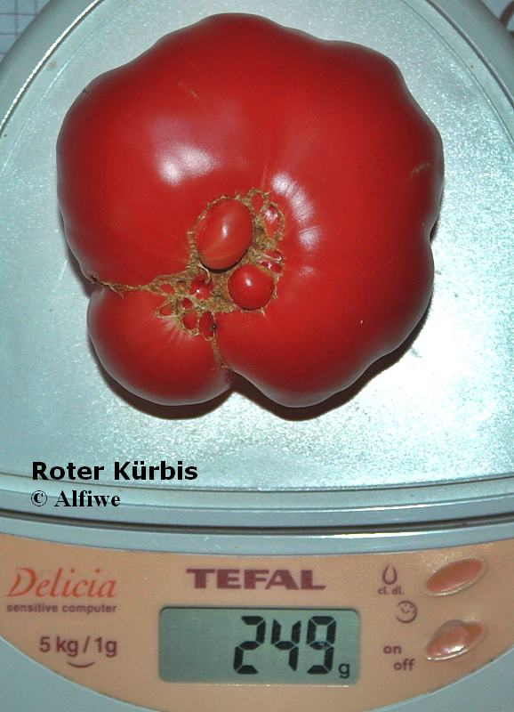 Roter Kürbis 1b-d