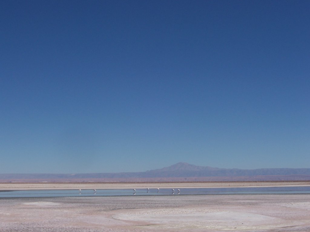 Salar de Atacama_2