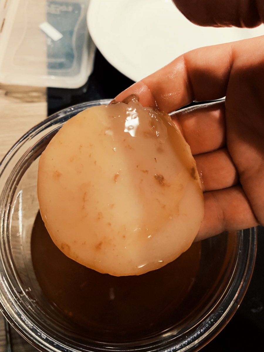 SCOBY