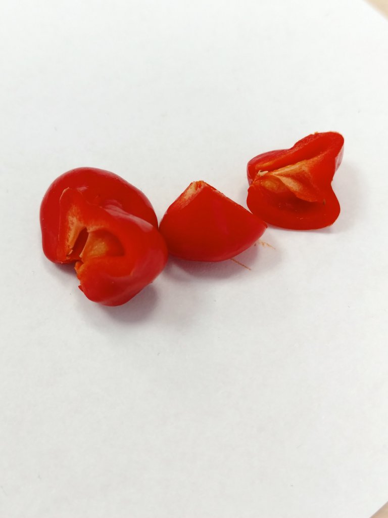 Scotch Bonnet Allen Boatman Trueform Rot