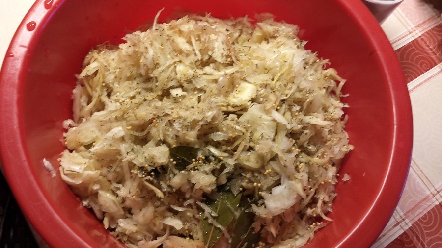 selbstgemachtes Sauerkraut