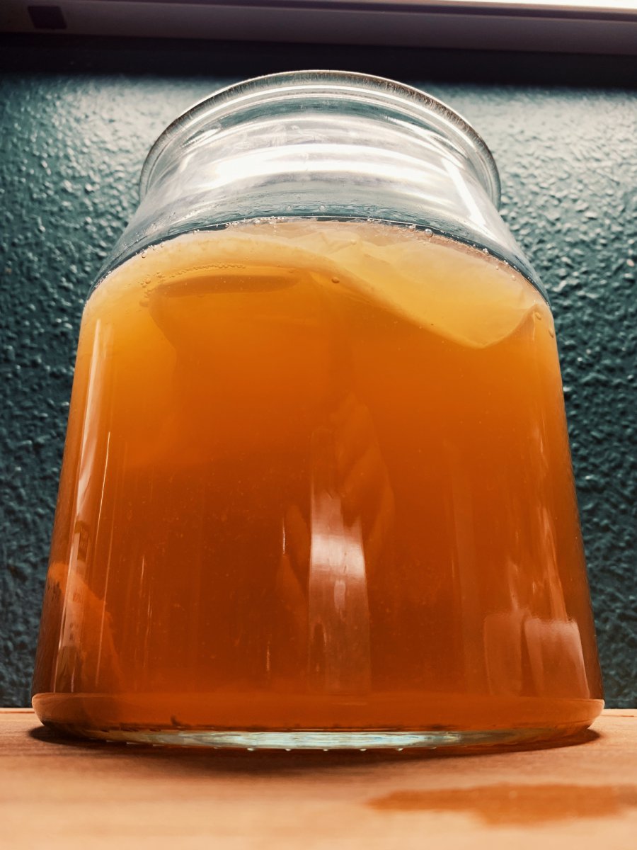 Sencha Kombucha 14 Tage