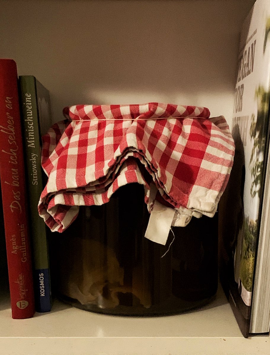 Sencha Kombucha ~ 2,6l