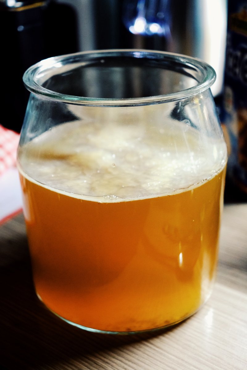 Sencha Kombucha