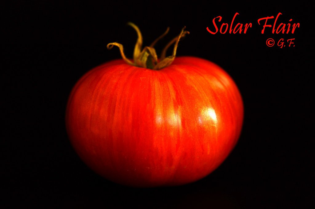 Solar Flair