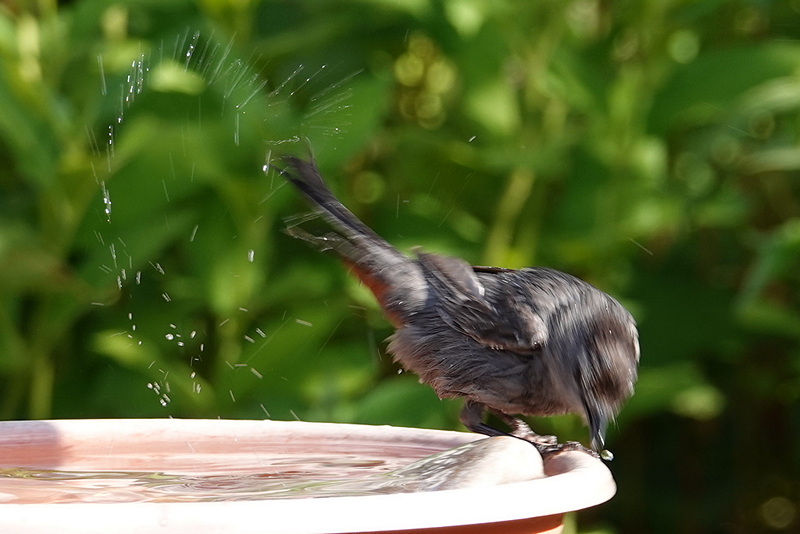 Sommerwetter