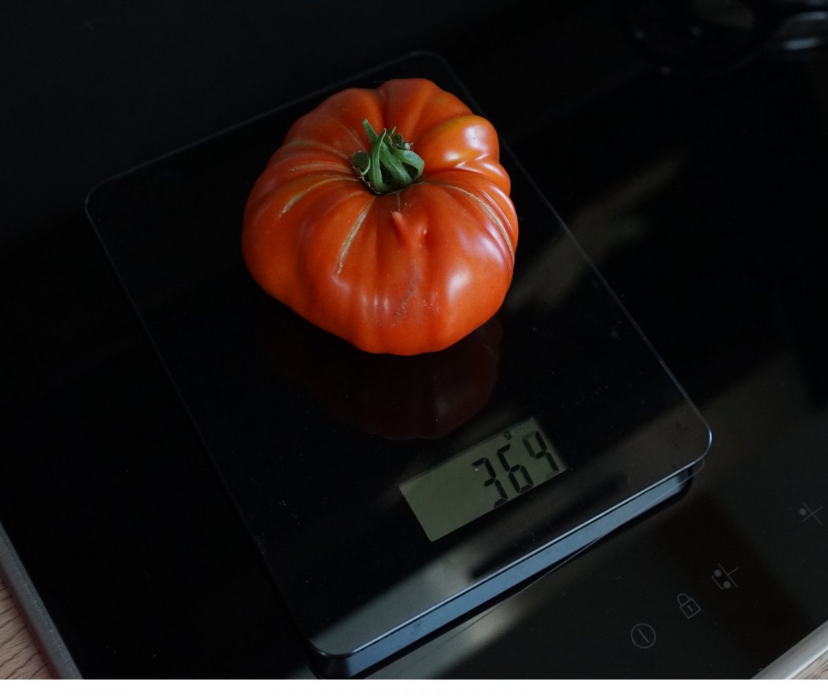 tomate 369g.jpg