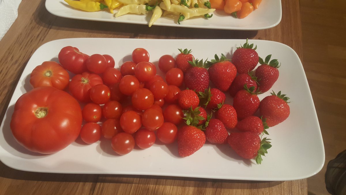 Tomaten und Erdbeeren