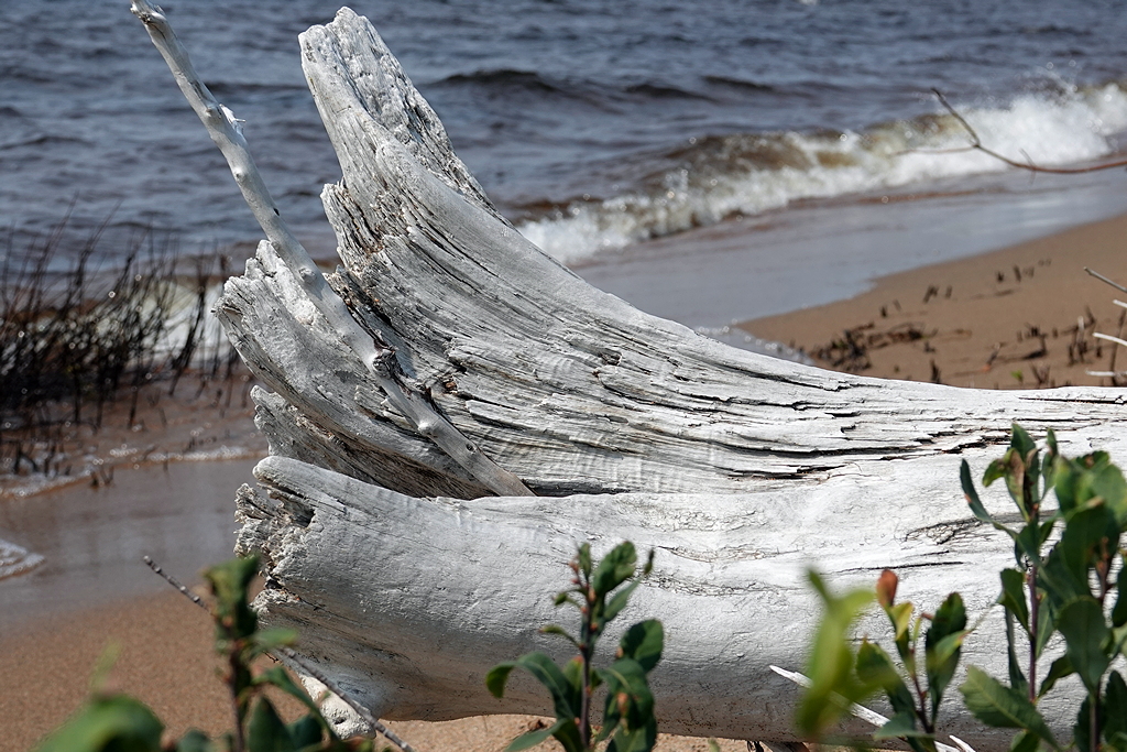 Ufer Lake Huron