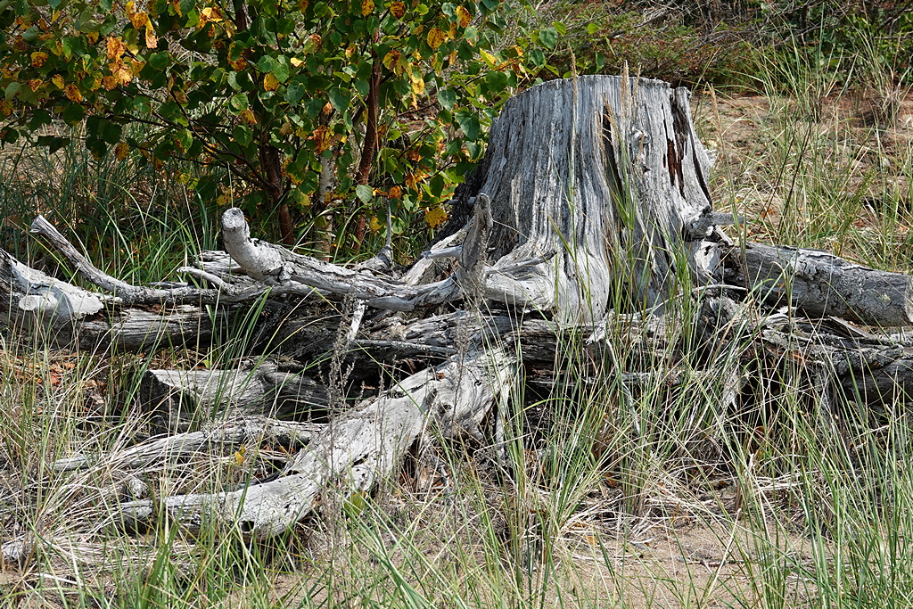 Ufer Lake Huron