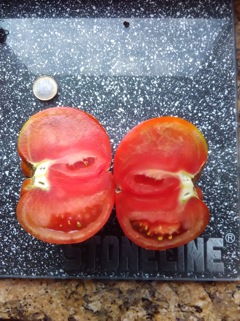 Unbekannte Tomate Halbiert
