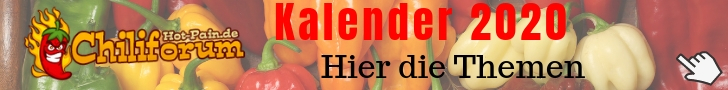 Vorlage zur Anbau-Planung (2).jpg