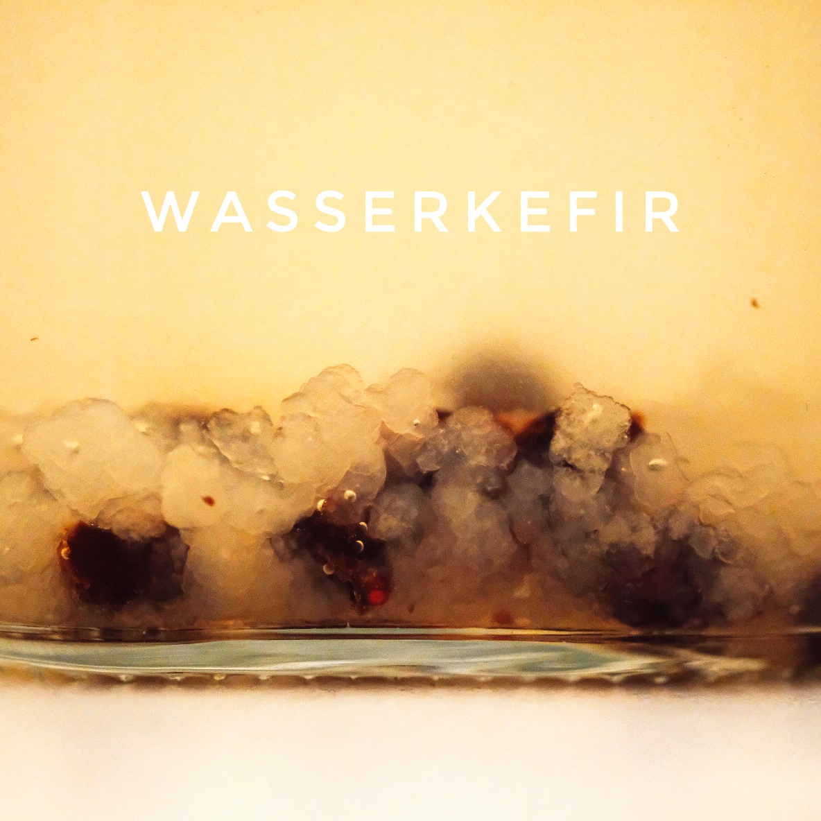 Wasserkefir, 1, Start