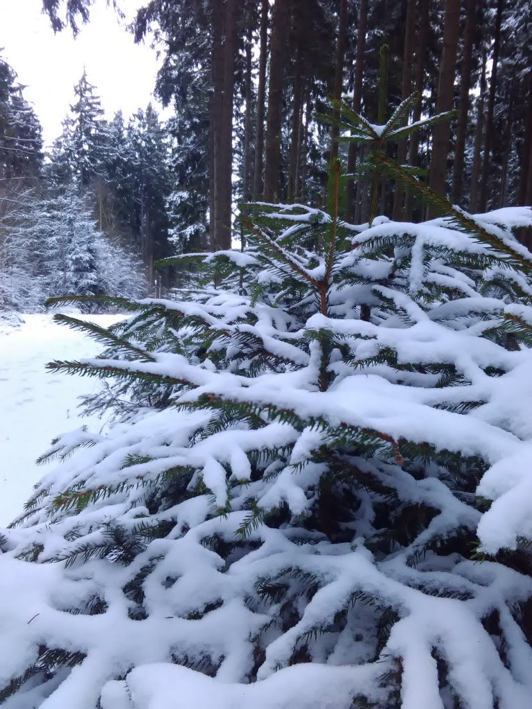 Winter März 2018 6